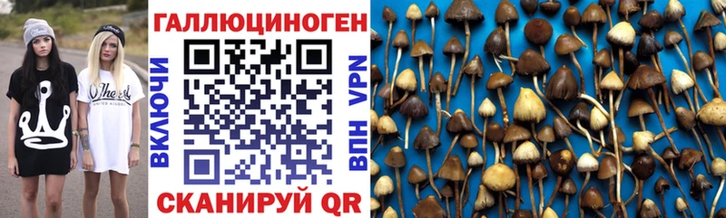 Галлюциногенные грибы ЛСД гидра маркетплейс Заводоуковск